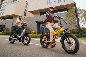 HIPEAK FAT TIRE EBIKES