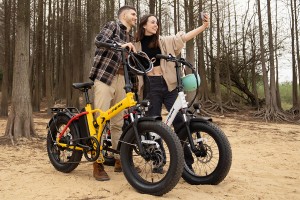 HIPEAK FOLDING EBIKES