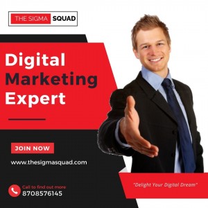 Introducing The Sigma Squad: The Digital Marketing Agency That Delight Your Digital Dream