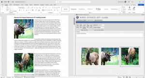 Word Express Image Generation