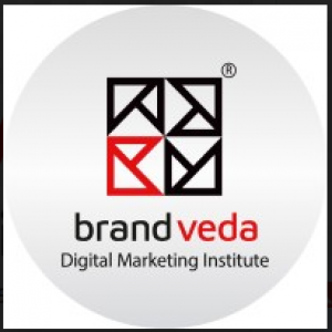 Logo of Brandveda
