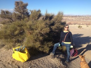 The Mormon Tea Company Launches New Line of Herbal Tea