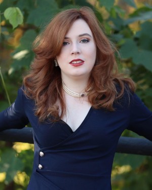 New Historical Fiction Novel Explores Ancient Kings Deheubarth