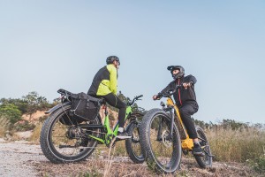 Full Suspension Ebike for Touring