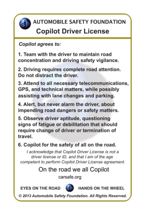 Copilot Driver License - the Lifesaving NFT