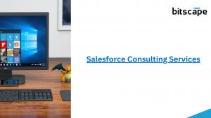 Salesforce Consulting Services