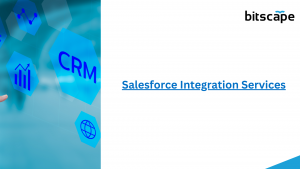 Salesforce Integration Services