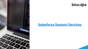 Salesforce Support Services