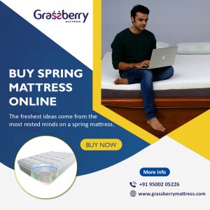 Spring Mattress - A New Wonderful Investment For Your Happy Sleep