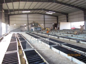 Nanolite Machine Real Plant Image