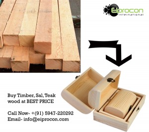 Timber wood supplier in uttrakhand