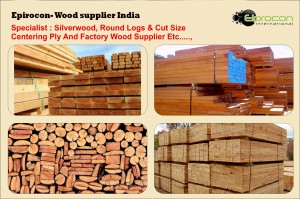 Timber wood supplier in uttrakhand