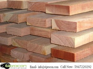 Timber wood supplier in uttrakhand