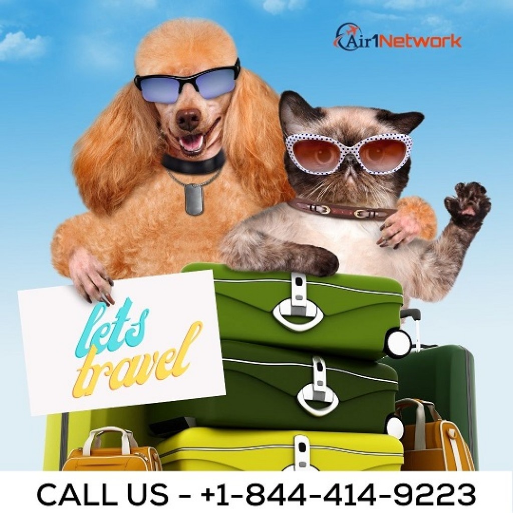 copa cargo pets