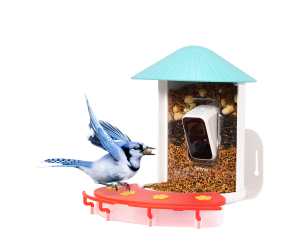 Birdfy Feeder Hummee 1