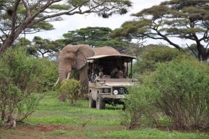 Arusha National Park3