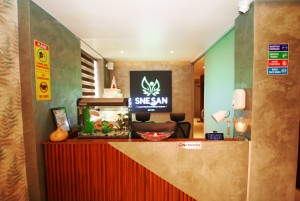 Snesan Spa 1