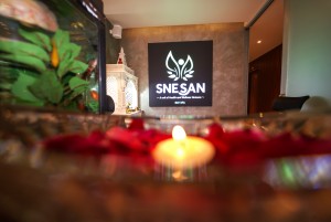 Snesan Spa