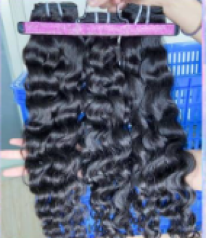 Burmese curl