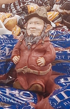 Brian Doyle-Murray - the voice of 