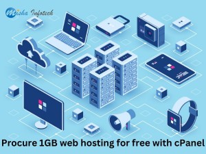 Procure 1GB web hosting for free with cPanel