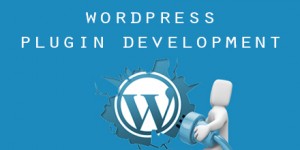 wordpress plugin