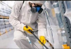 Pest Control Services