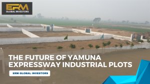 Yamuna Expressway Plots
