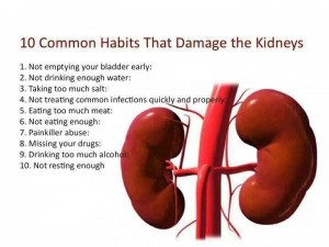 kidney failure kidney disease