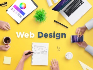 Website Design 1