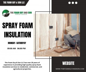 Spray Foam Insulation The Foam Guy Son LLC