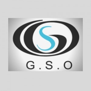 Gso Pagoda logo