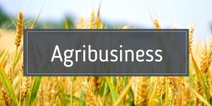 Agribusiness Market