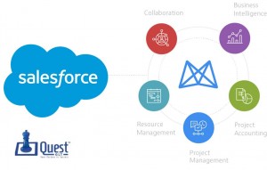 software Development 