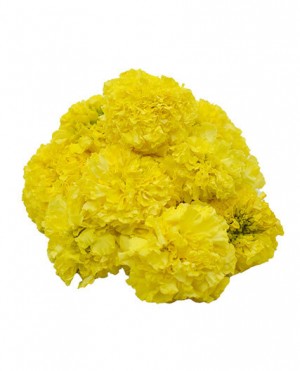 Flower Delivery Service In The City Got A New Name’