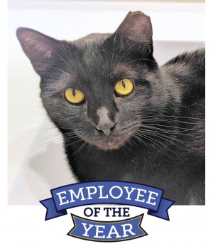 Tac Dacat is the 2023 Employee of The Year at CMC Government Supply