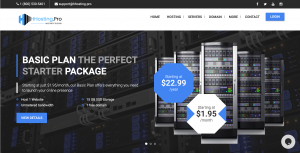 Find the Best Online Web Hosting Service with HHosting Pro