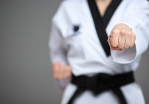 adult martial arts 1