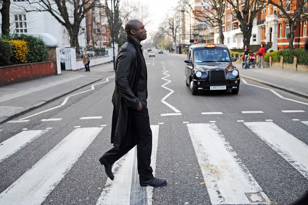Seal crossing Abbey Road London Seal crossing Abbey Road London