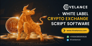 Hivelance Emerges as a Leading Cryptocurrency Exchange Software Development Company, Offering Cutting-Edge Solutions