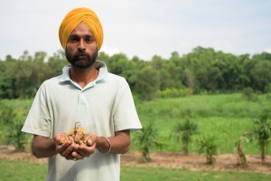 Fresh Produce at Waden