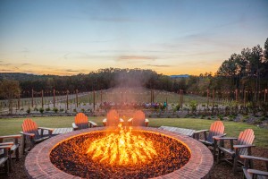 Mountain Brook Vineyards firepit
