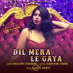 Dil Mera Le Gaya story