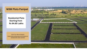 M3M Plots Panipat
