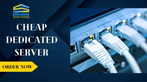 Cheap Dedicated Server