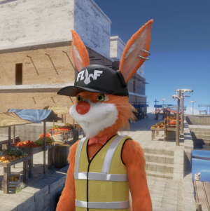 W3S Analyse Futureverse collaboration with Cool Cats as they join forces