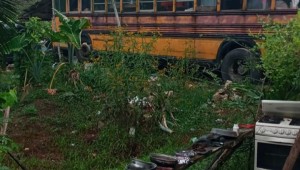 Jean Hector - Martinez Family Bus