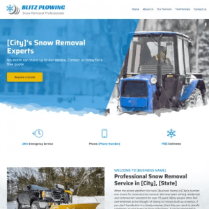 snow removal website design