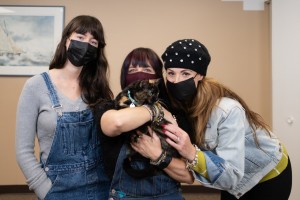 Pet Success is a secret home in the Glebe welcoming everyone with warmth and acceptance