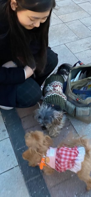 Pet Success Parents and Pet Success Families trust Pet Success Socialization classes for dogs